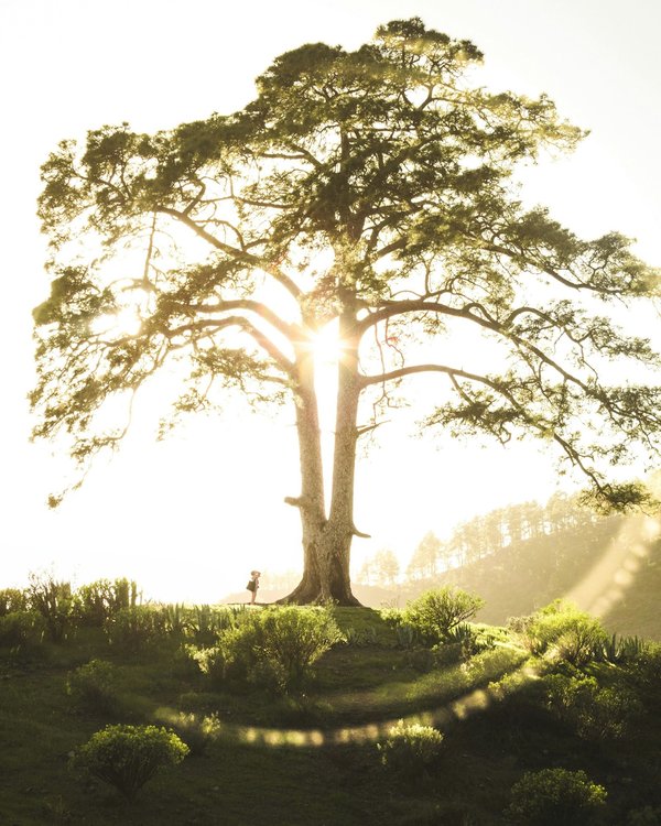 Quelle croisière propose des excursions pour découvrir les légendes celtiques en Irlande?